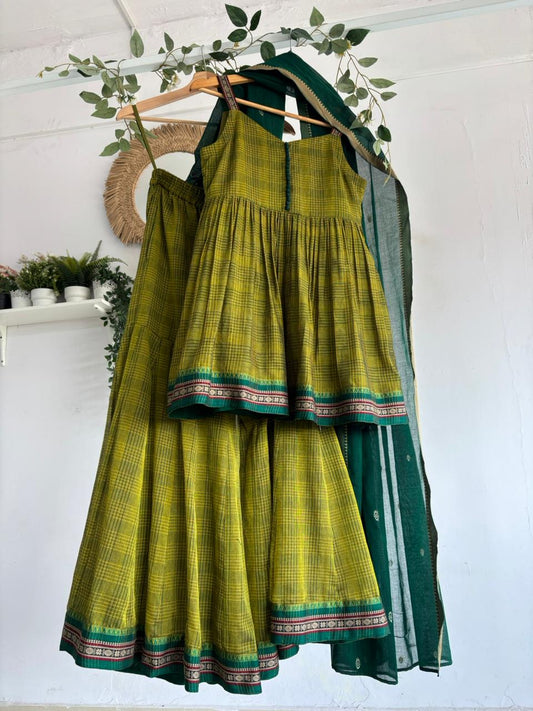 Pista Green  – Narayanpet Sharara Set