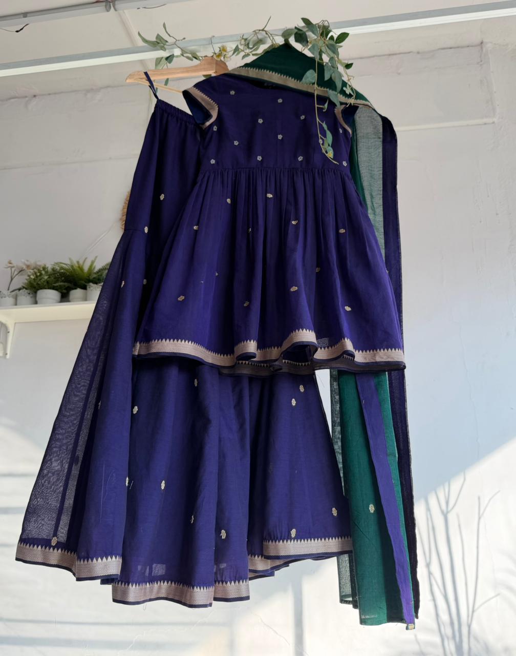 Quiet Majesty - Narayanpet Sharara Set