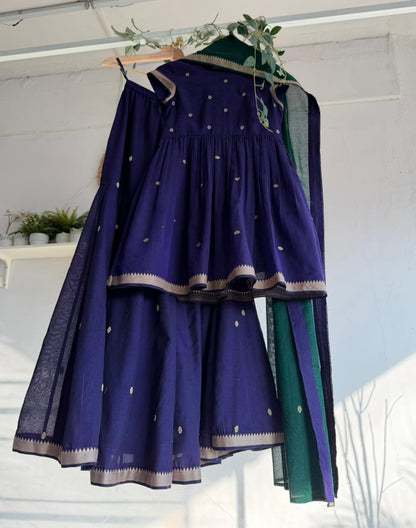 Quiet Majesty - Narayanpet Sharara Set