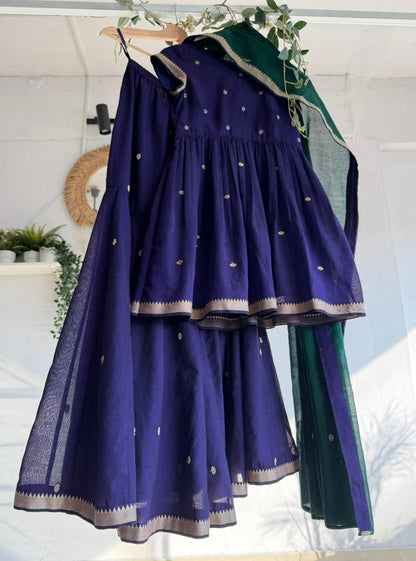 Quiet Majesty - Narayanpet Sharara Set